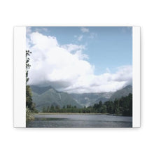 Load image into Gallery viewer, Canvas Gallery Wraps V P L x Wright, Butler & Co