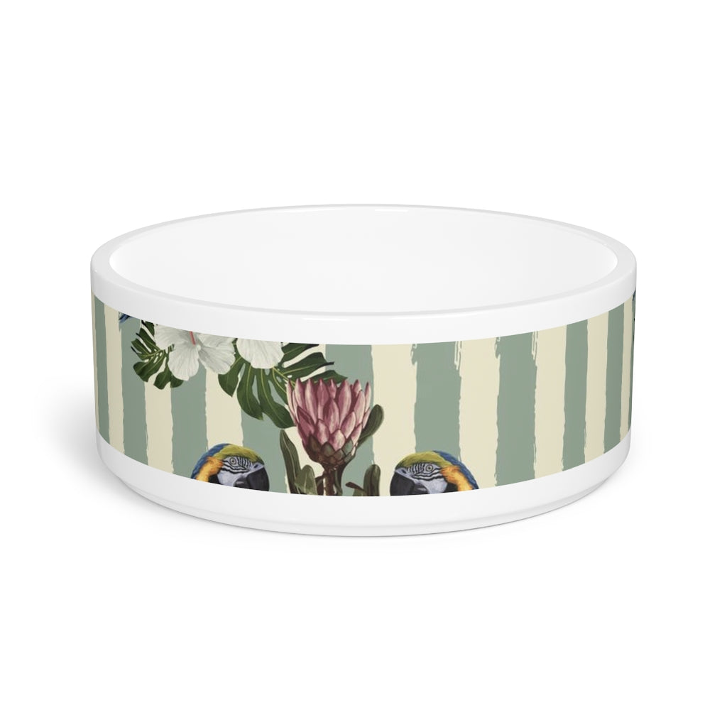 Pet Bowl