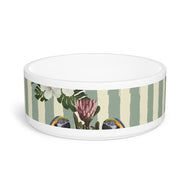 Pet Bowl