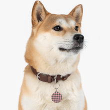 Load image into Gallery viewer, Pet Tag

