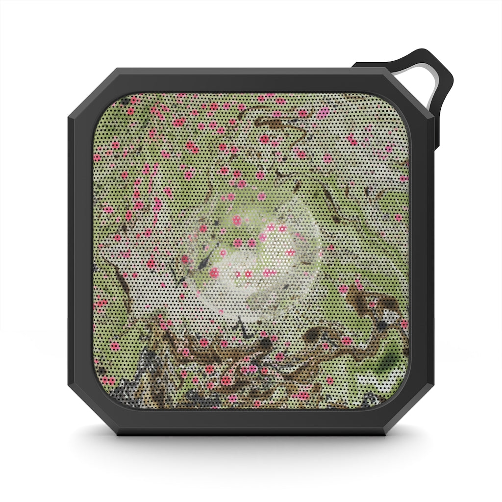 V P L Outdoor Bluetooth Speaker