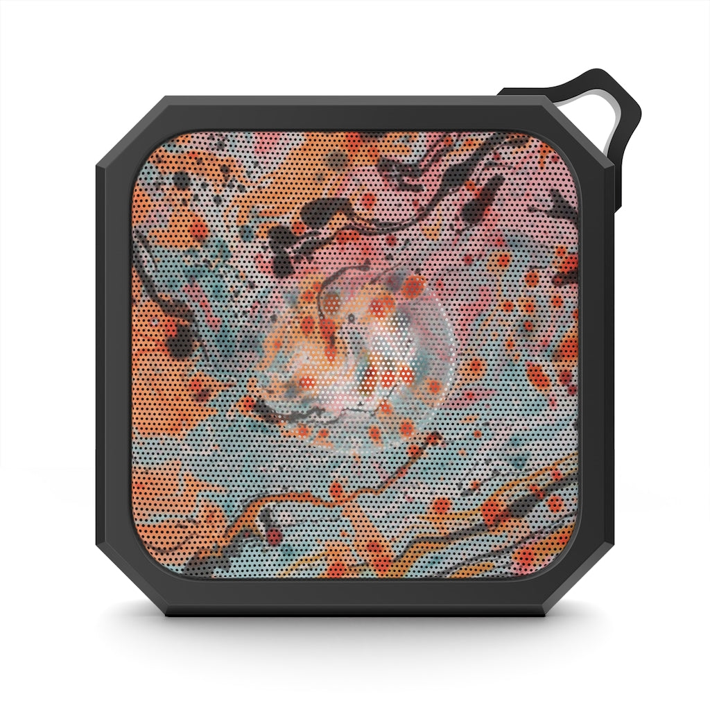 V P L Outdoor Bluetooth Speaker