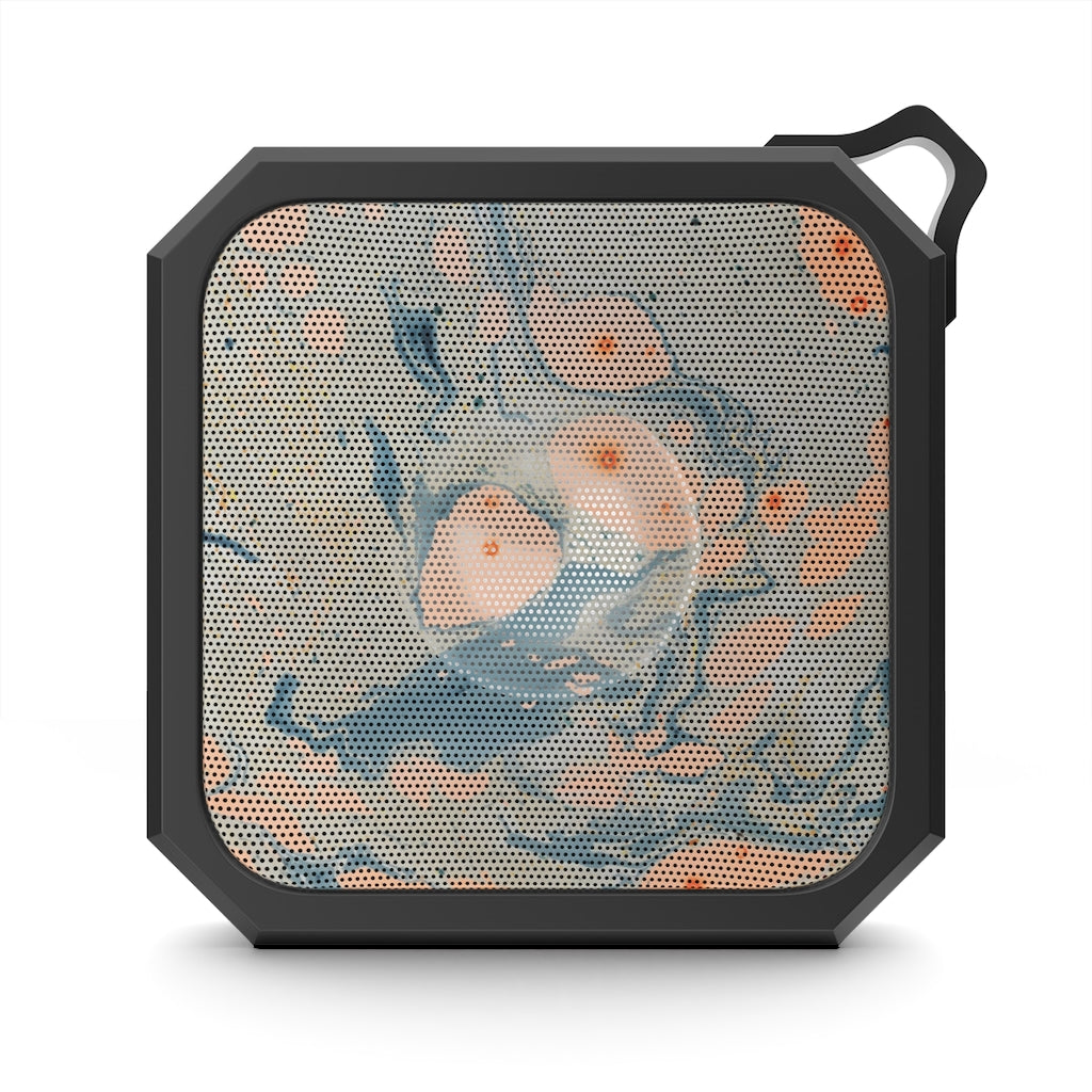 V P L Outdoor Bluetooth Speaker