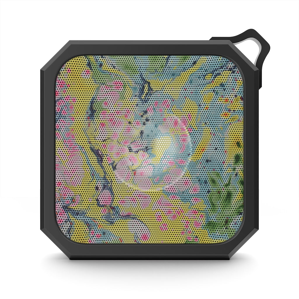 V P L  Outdoor Bluetooth Speaker